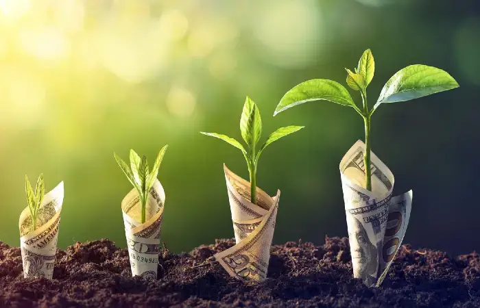 Why Do I Need To Use Financial