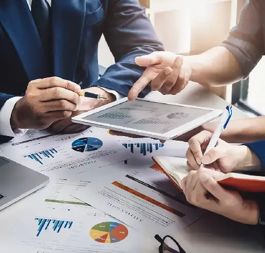 Beuna Vista Financial Services