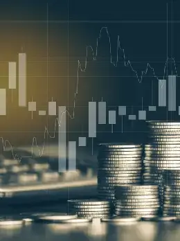 Beuna Vista Financial Services